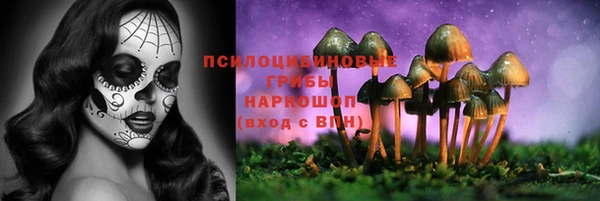 ALPHA-PVP Алексеевка